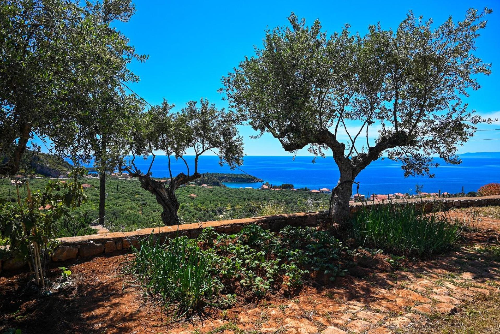 Athina'S Stone House In Kardamyli Villa Exterior photo